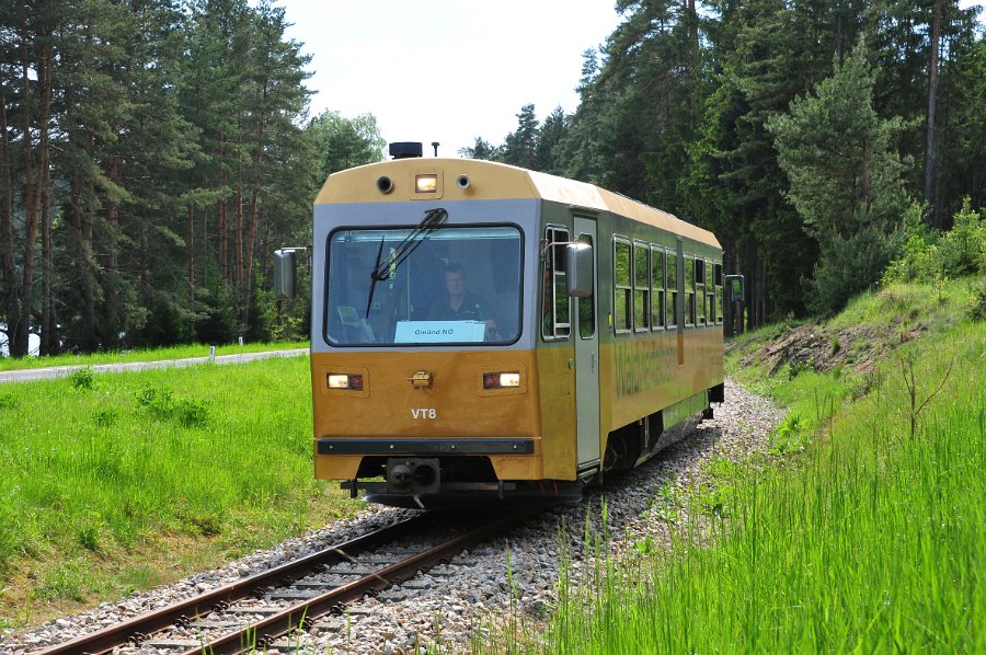 NÖVOG VT8 60  Jahre Diesellok 2095 (9)